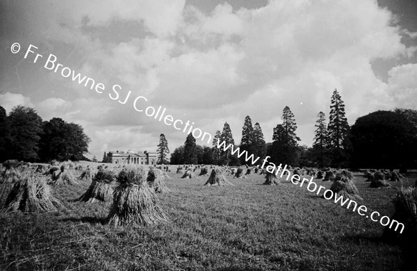 HARVESTING AT ST MARY'S  SHOWING HOUSE EMO COURT